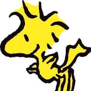 Meet your Posher, Ara